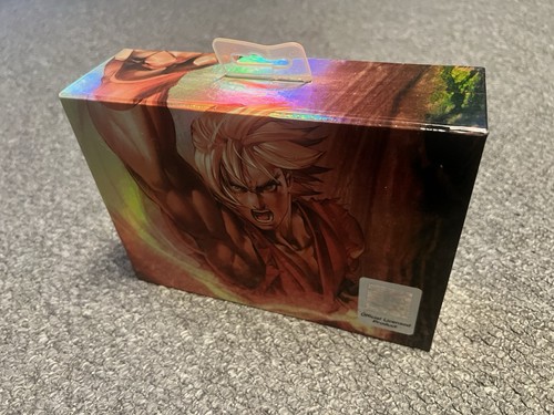 Street fighter 15th - fighter,